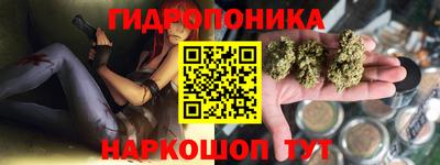 сатива Бийск