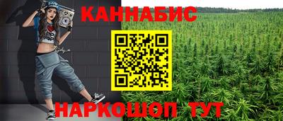 сатива Бийск