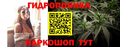 кокс Берёзовский