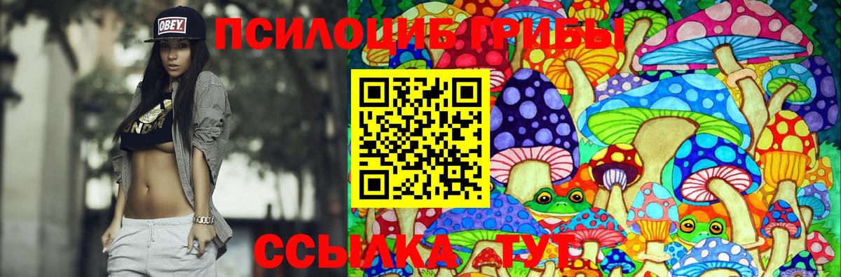 Каменск-Уральский  Псилоцибиновые грибы Psilocybine cubensis  Вход с VPN 